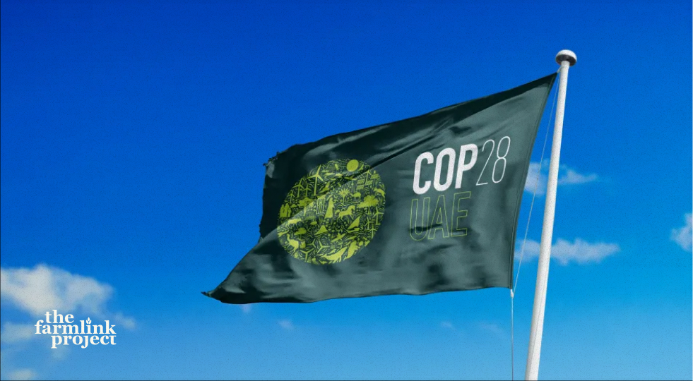 Cheese Caves and Food Surpluses Why the U.S. Government currently